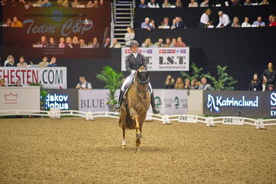 Dansk varmblod hingstekåring.
grandprix special 5
Nøgleord: cathrine dufour;bohemian