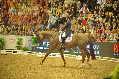 Dansk varmblod hingstekåring.
grandprix special 5
Nøgleord: cathrine dufour;bohemian