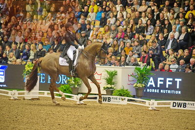 Dansk varmblod hingstekåring.
grandprix special 5
Nøgleord: cathrine dufour;bohemian