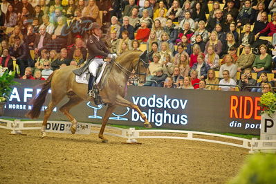 Dansk varmblod hingstekåring.
grandprix special 5
Nøgleord: cathrine dufour;bohemian