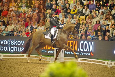 Dansk varmblod hingstekåring.
grandprix special 5
Nøgleord: cathrine dufour;bohemian