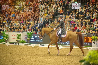 Dansk varmblod hingstekåring.
grandprix special 5
Nøgleord: anders dahl;fidelio van het bloemenhof