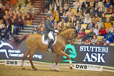 Dansk varmblod hingstekåring.
grandprix special 5
Nøgleord: anders dahl;fidelio van het bloemenhof