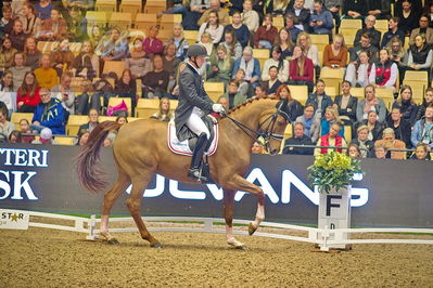 Dansk varmblod hingstekåring.
grandprix special 5
Nøgleord: anders dahl;fidelio van het bloemenhof