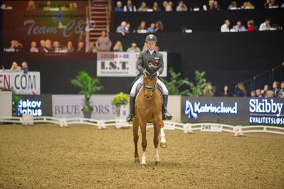 Dansk varmblod hingstekåring.
grandprix special 5
Nøgleord: anders dahl;fidelio van het bloemenhof