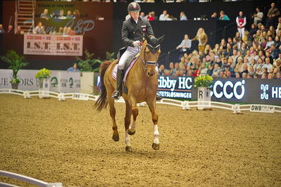 Dansk varmblod hingstekåring.
grandprix special 5
Nøgleord: anders dahl;fidelio van het bloemenhof