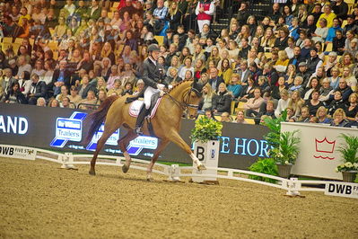 Dansk varmblod hingstekåring.
grandprix special 5
Nøgleord: anders dahl;fidelio van het bloemenhof