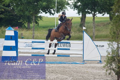 Landsstævne spring
La1  115cm
Nøgleord: carla sandberg nielsen;conny p