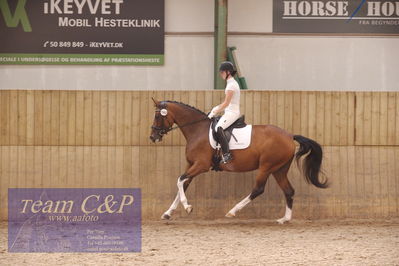 Vallensbæk refion 1
4års hopperr
Nøgleord: mettew brandt;sky high horsebo