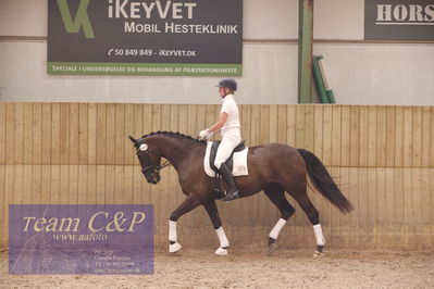 Vallensbæk refion 1
4års hopperr
Nøgleord: anette bruhn;gørklintgårds peppermint