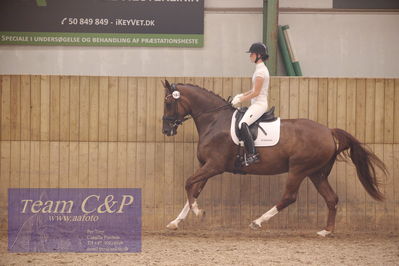 Vallensbæk refion 1
4års hopperr
Nøgleord: mette brandt;skyline horsebo