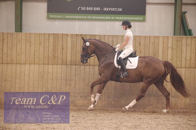Vallensbæk refion 1
4års hopperr
Nøgleord: mette brandt;skyline horsebo