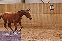 Filnavn=PT9_3021.JPG
Filstørrelse=393KiB
Dimensioner=1224x817
Dato for tilføjelse=%16 %859, %2020 PT9_3021.JPG