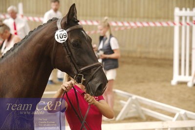 Sadelkåring 3 års og løsspring
Vallensbæk ridecenter
Nøgleord: hejbøls graceful