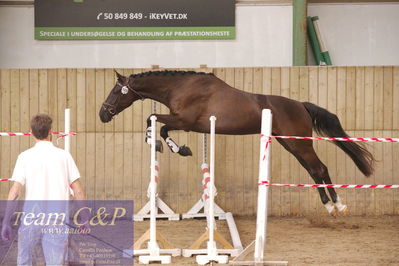 Sadelkåring 3 års og løsspring
Vallensbæk ridecenter
Nøgleord: hejbøls graceful