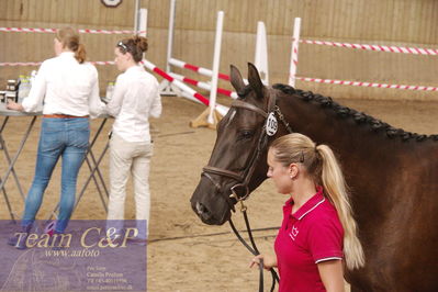 Sadelkåring 3 års og løsspring
Vallensbæk ridecenter
Nøgleord: hejbøls graceful