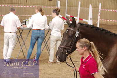 Sadelkåring 3 års og løsspring
Vallensbæk ridecenter
Nøgleord: hejbøls graceful