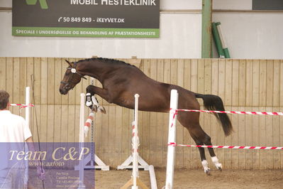 Sadelkåring 3 års og løsspring
Vallensbæk ridecenter
Nøgleord: havanna hillock