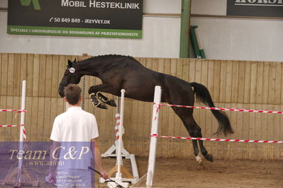 Sadelkåring 3 års og løsspring
Vallensbæk ridecenter
Nøgleord: lawisha