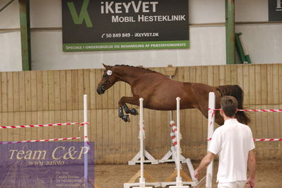 Sadelkåring 3 års og løsspring
Vallensbæk ridecenter
Nøgleord: hejbøls poca´hontas