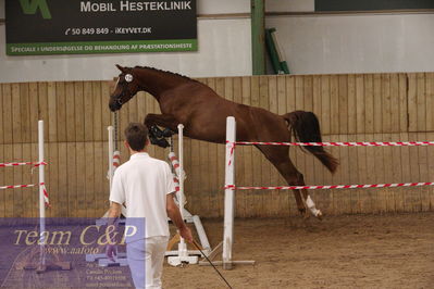 Sadelkåring 3 års og løsspring
Vallensbæk ridecenter
Nøgleord: hejbøls poca´hontas