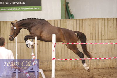 Sadelkåring 3 års og løsspring
Vallensbæk ridecenter
Nøgleord: chantal de merignat