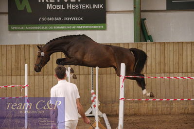 Sadelkåring 3 års og løsspring
Vallensbæk ridecenter
Nøgleord: chantal de merignat