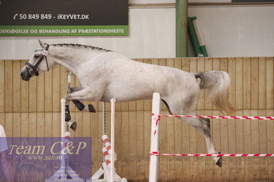 Sadelkåring 3 års og løsspring
Vallensbæk ridecenter
Nøgleord: holsteins barbie girl