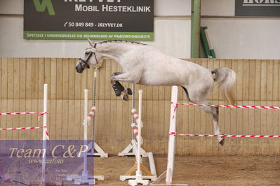 Sadelkåring 3 års og løsspring
Vallensbæk ridecenter
Nøgleord: holsteins barbie girl