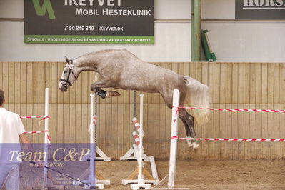 Sadelkåring 3 års og løsspring
Vallensbæk ridecenter
Nøgleord: zirocca