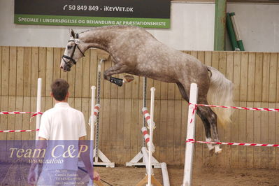 Sadelkåring 3 års og løsspring
Vallensbæk ridecenter
Nøgleord: zirocca