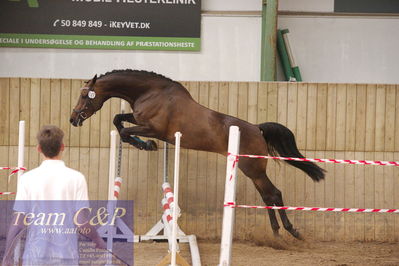 Sadelkåring 3 års og løsspring
Vallensbæk ridecenter
Nøgleord: candy de merignat