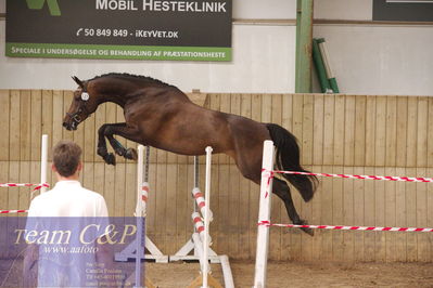 Sadelkåring 3 års og løsspring
Vallensbæk ridecenter
Nøgleord: candy de merignat