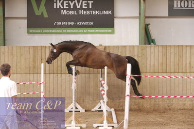 Sadelkåring 3 års og løsspring
Vallensbæk ridecenter
Nøgleord: candy de merignat