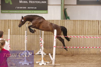 Sadelkåring 3 års og løsspring
Vallensbæk ridecenter
Nøgleord: candy de merignat