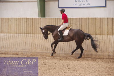 Sadelkåring 3 års og løsspring
Vallensbæk ridecenter
Nøgleord: krogsågårds bagheera