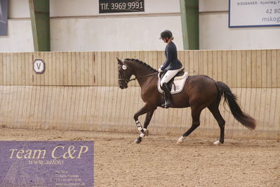 Sadelkåring 3 års og løsspring
Vallensbæk ridecenter
Nøgleord: hejbøls graceful