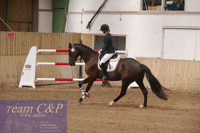 Sadelkåring 3 års og løsspring
Vallensbæk ridecenter
Nøgleord: hejbøls graceful