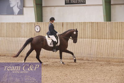 Sadelkåring 3 års og løsspring
Vallensbæk ridecenter
Nøgleord: hejbøls graceful