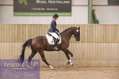 Sadelkåring 3 års og løsspring
Vallensbæk ridecenter
Nøgleord: hejbøls graceful