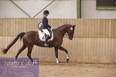 Sadelkåring 3 års og løsspring
Vallensbæk ridecenter
Nøgleord: hejbøls graceful