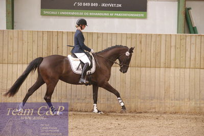 Sadelkåring 3 års og løsspring
Vallensbæk ridecenter
Nøgleord: hejbøls graceful