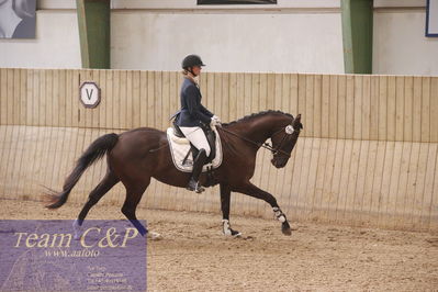 Sadelkåring 3 års og løsspring
Vallensbæk ridecenter
Nøgleord: hejbøls graceful