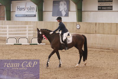 Sadelkåring 3 års og løsspring
Vallensbæk ridecenter
Nøgleord: hejbøls graceful