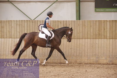 Sadelkåring 3 års og løsspring
Vallensbæk ridecenter
Nøgleord: chantal de merignat