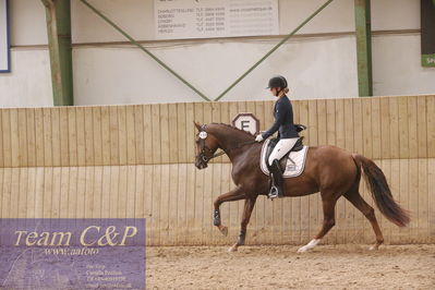 Sadelkåring 3 års og løsspring
Vallensbæk ridecenter
Nøgleord: hejbøls poca´hontas