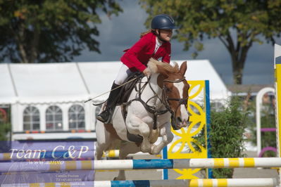 Baltic Cup
kat3 ponyer gb
Nøgleord: laura sloth kjær;rosa