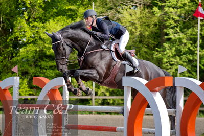 c-stævne spring
mb2 130cm
Nøgleord: anja lykke nielsen;figaro leth