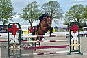 PT9_3390.JPG