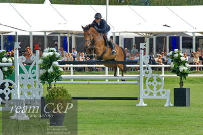 Showjumping
Kval till GP CSI3 Table A (238.2.1) 1.45m
Nøgleord: douglas lindelöv;chavira